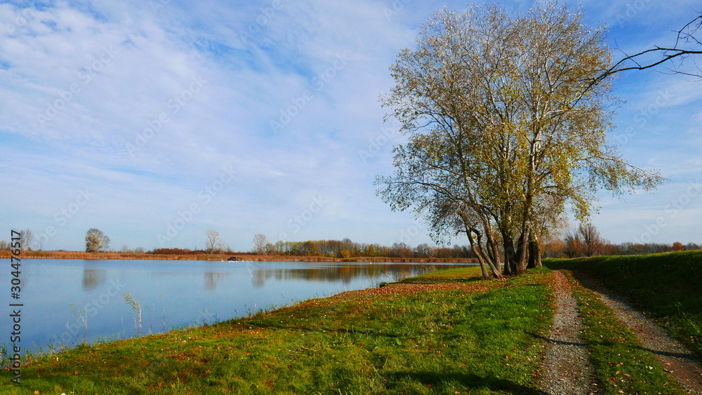Beautiful landscape with river and trees in fall
