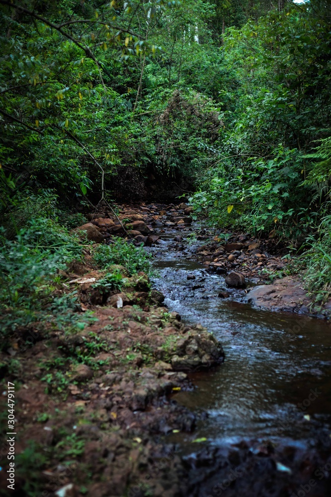 Nature Nature