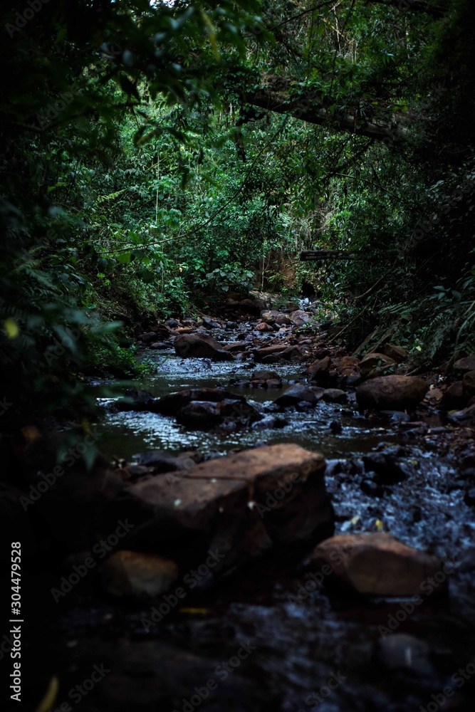 Nature Nature
