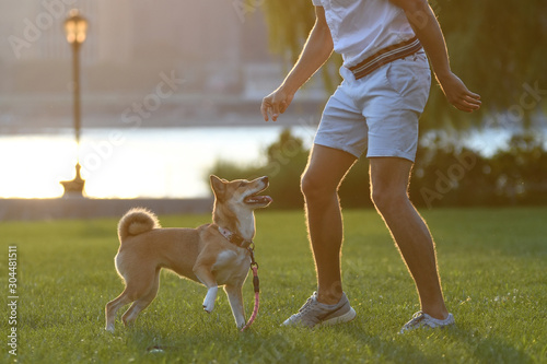 Owner with dog in park
