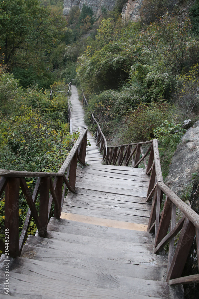 Obraz premium Woman walking on wooden stair into forrest.turkey