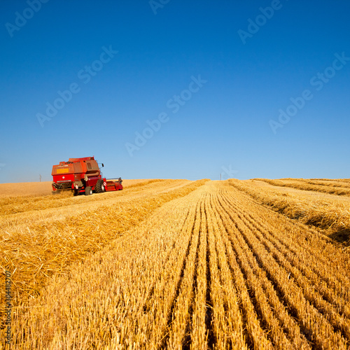 Moissonneuse dans les champs de blé en France