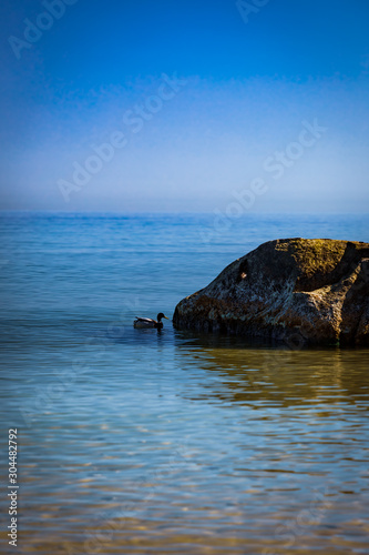 Steinmonster in abendlicher Sonne vis-a-vis mit Ente im leichten Wellengang am Meer © AnMa