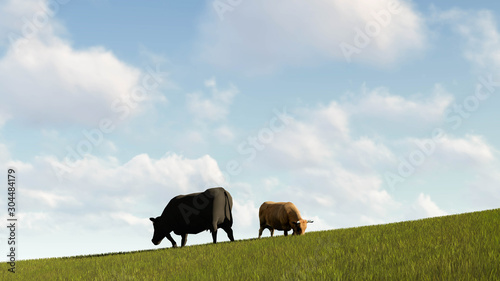 Cow Outdoor on Grass 3D Rendering