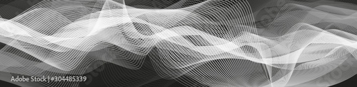 Abstract black and white Sound Wave background,Earthquake wave diagram and smoke concept; design for education and science; Vector Illustration.