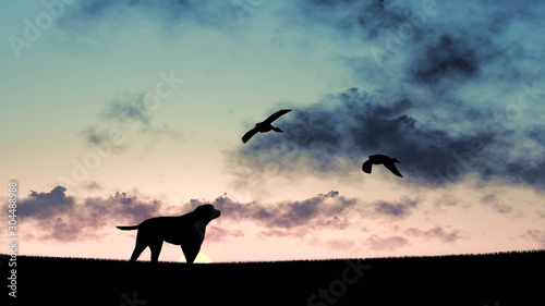 Dog At Sunset 3D Rendering