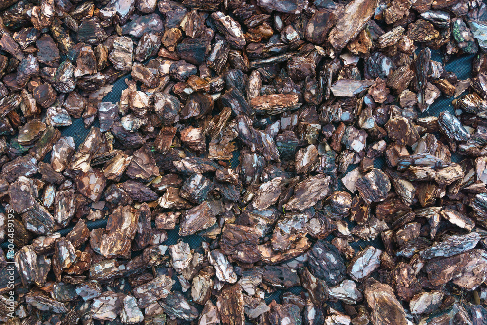 Tree bark mulch.The texture of mulch bark for a garden. Closeup of wood chip path covering. Wood chips texture, wooden biomass background Tree bark mulch.The texture of mulch bark for a garden. Closeup of wood chip path covering. Wood chips texture, wooden biomass background