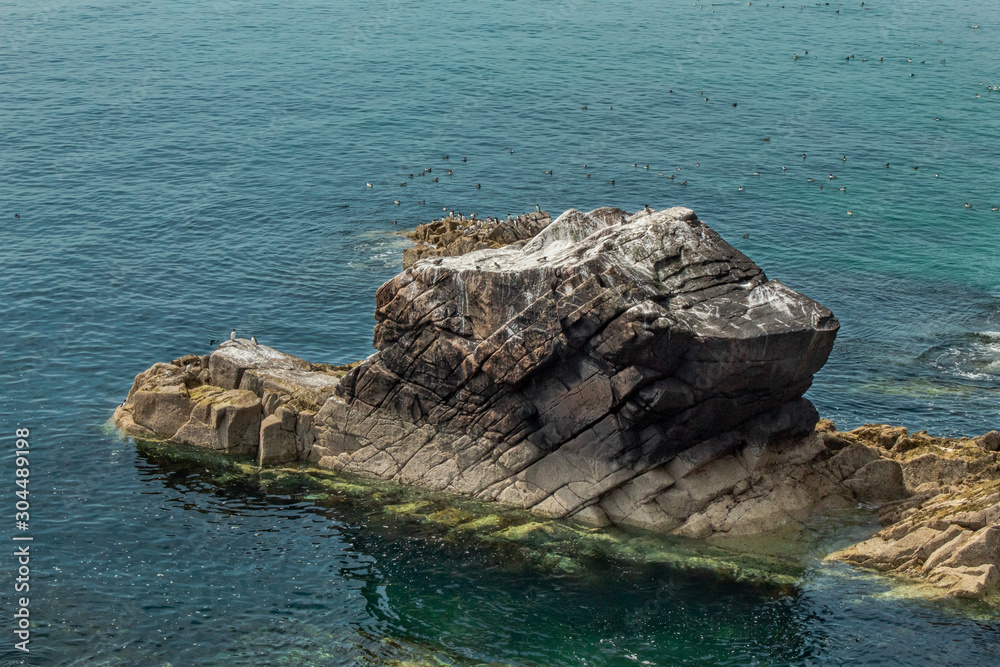 Fototapeta premium Birds on a Rocky Outcrop in the Turquoise Sea