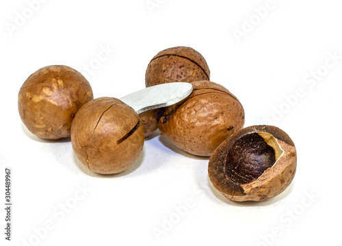 Macadamia nut on a white background
