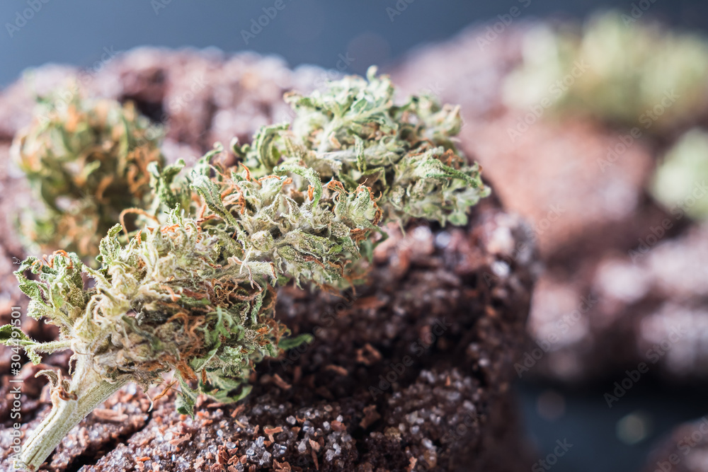 chocolate chip cookies with marijuana, sprinkled with chocolate chips and cannabis, are on a slate dish. close- up chocolate chip cookies with marijuana, sprinkled with chocolate chips and cannabis, are on a slate dish. close- up