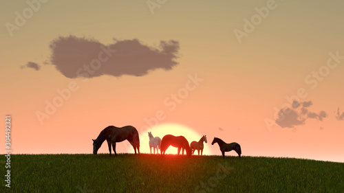 Horse Outdoor at Sunset 3D Rendering