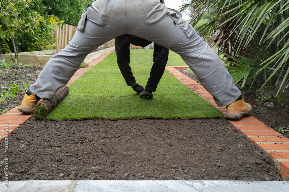 New grass turf being installed in a garden along new brick edging