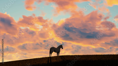 Fototapeta Naklejka Na Ścianę i Meble -  Horse Outdoor at Sunset 3D Rendering