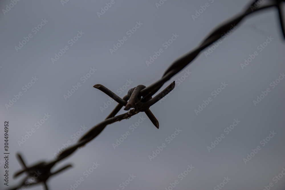barbed wire against the background of the autumn sky part 2 barbed wire against the background of the autumn sky part 2