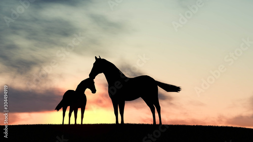 Horse Outdoor at Sunset 3D Rendering © Lasha Kilasonia