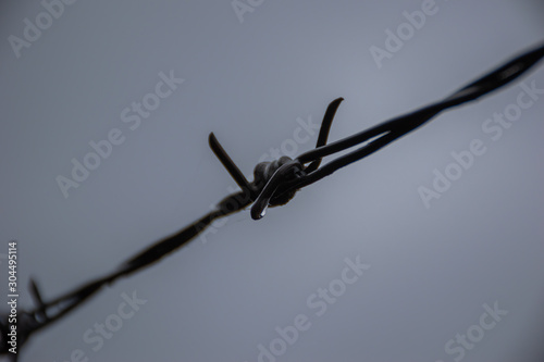barbed wire with dew drops on a sky background