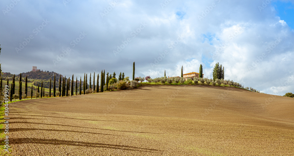 Fototapeta premium Tuscany Country Landscape Val d'Orcia Italy