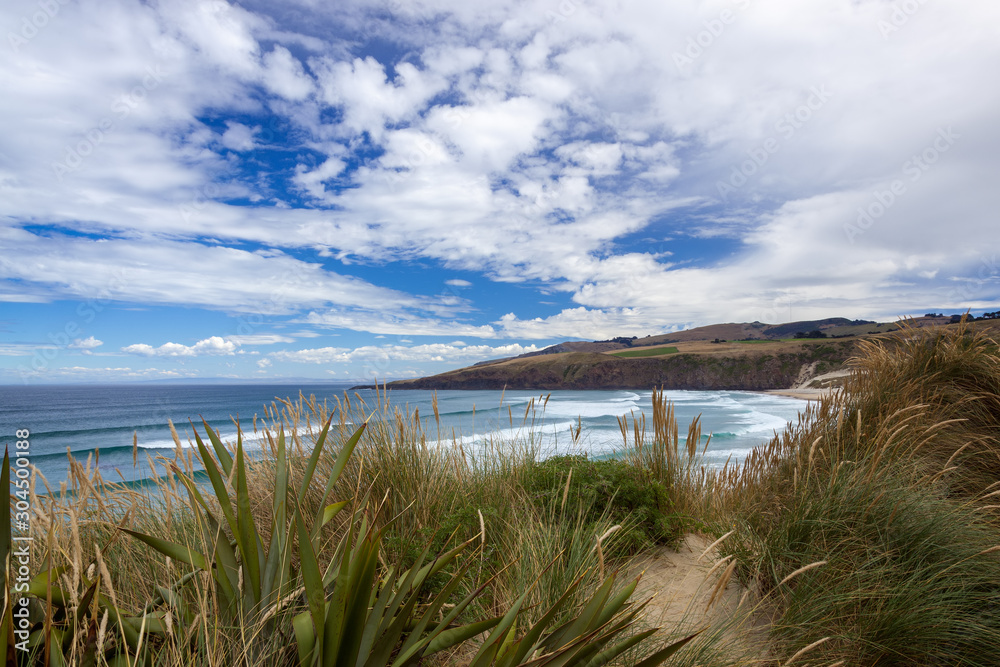 View of Sandfly Bay in the South Island of New Zealand