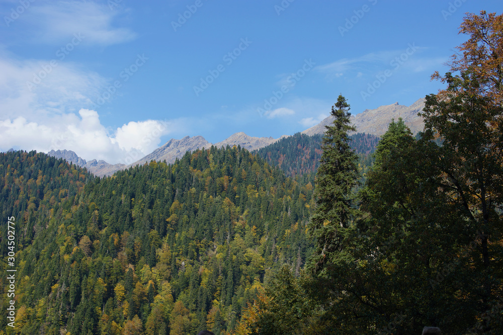 Beautiful landscape in Abkhazia. Fall 2019.