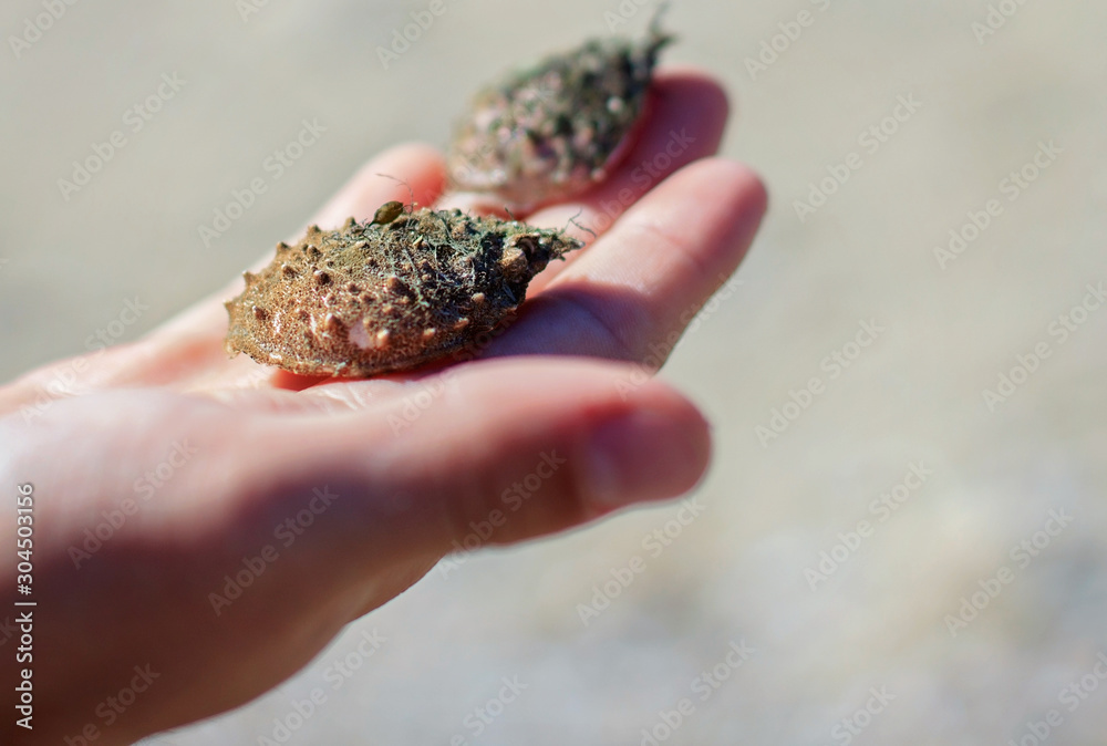 beach combing beach combing