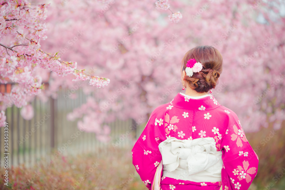 Asian woman wearing kimono with cherry blossoms,sakura in Japan. Asian woman wearing kimono with cherry blossoms,sakura in Japan.