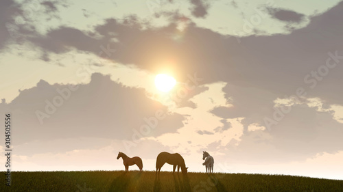 Horse Outdoor at Sunset 3D Rendering