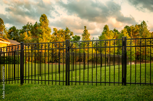 фотографія Black Aluminum Fence with double gates
