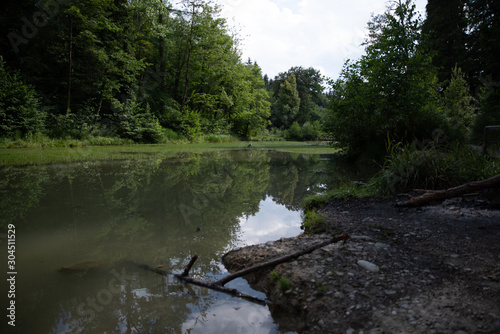 lake in forest