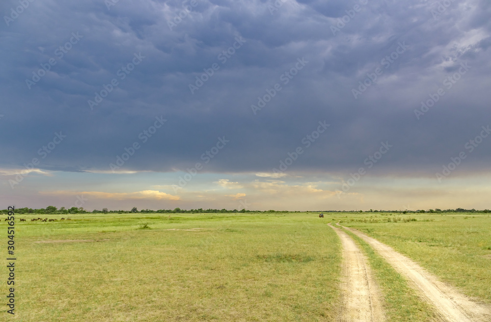 Jeep through the Okavango Delta under stormy cloudy sky Jeep through the Okavango Delta under stormy cloudy sky