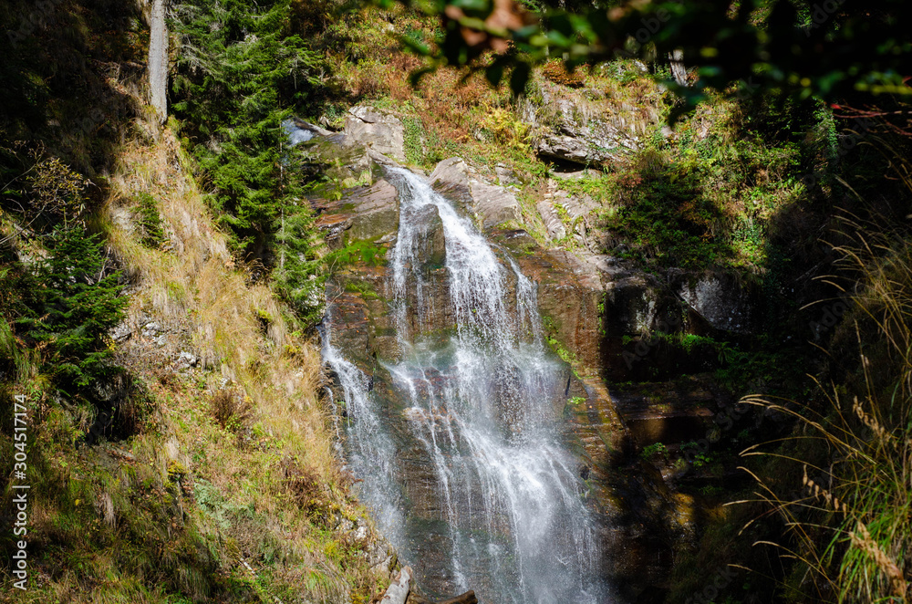 waterfall in forest