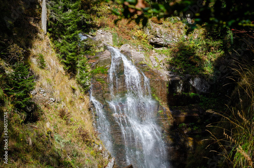 waterfall in forest