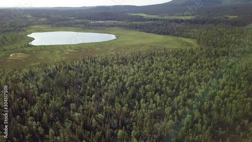 Aerial view of mixed forest at Pallas fells, Finnish Lapland