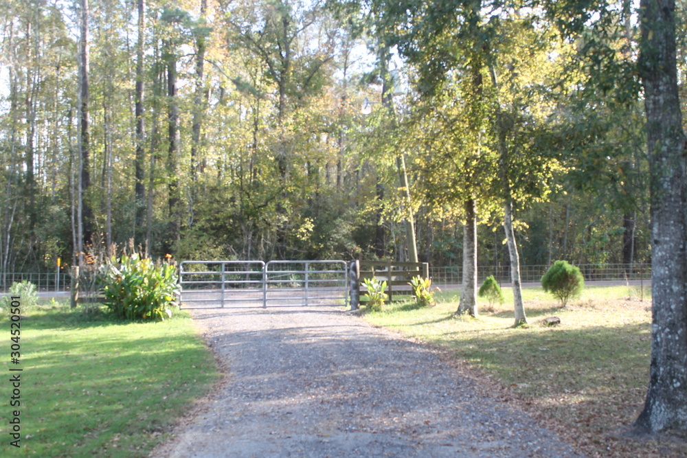 path in the park