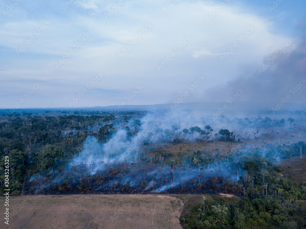 Burning of the Amazon rainforest at dusk to increase livestock grazing area and agriculture activities Area already deforested in the foreground. Deforestation, environment and climate change concept.