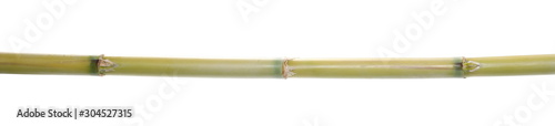 Green bamboo stick isolated on white background