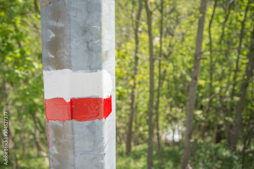 Signpost of a trail, painted on a pole,red and white, located in a forest,Italian Alps