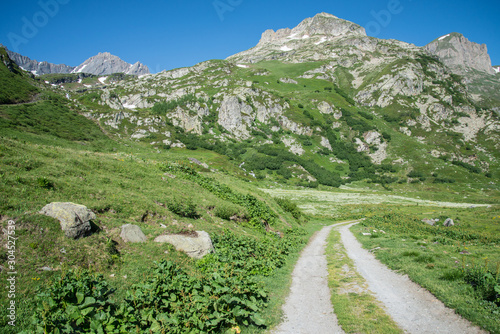 Path in a green valley, with slopes full of pines and mountain peaks on the background, Val Veny, Italy