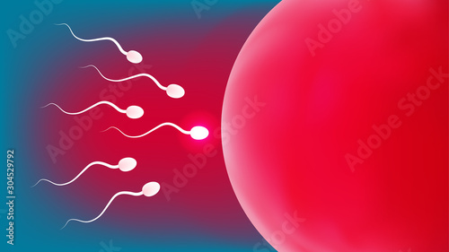 Sperm and egg illustration background