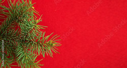 Christmas composition  flat lay. Red background  spruce branch  copy space for text. Christmas  winter  new year  postcard or greetings. Top view.