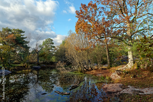 Franchard pond in The french Gâtinais regional nature park