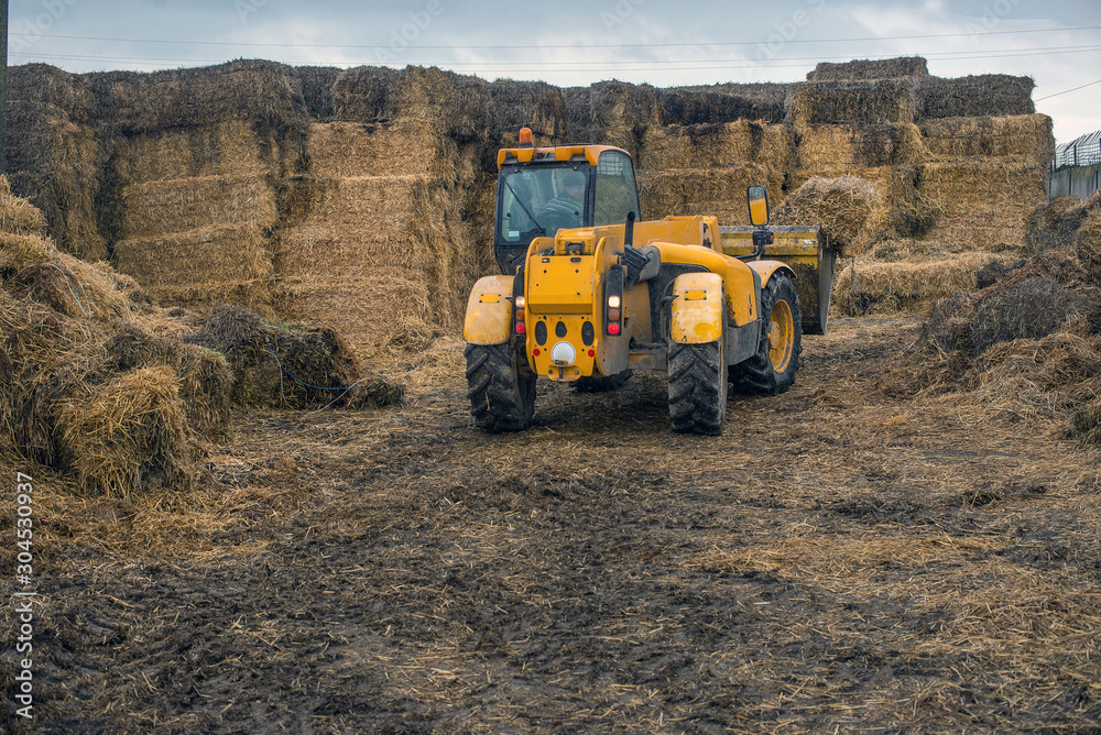 farming in Ukraine, harvesting, storage of silage, fodder for livestock farming in Ukraine, harvesting, storage of silage, fodder for livestock