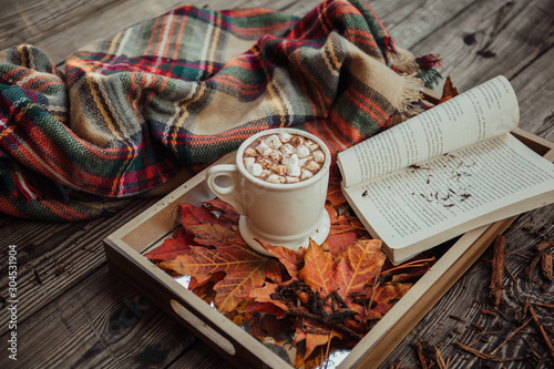Hot cocoa and a book