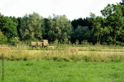 Meadows, at the edge of the forest. A trailer full hay bale. Summer in Belgium