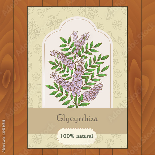 Medicinal herbs collection. Vector hand drawn illustration of plant glycyrrhiza. Flyer, card template