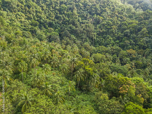 Aerial view of the Hilly Jungle of Ko Pangan.Thailand