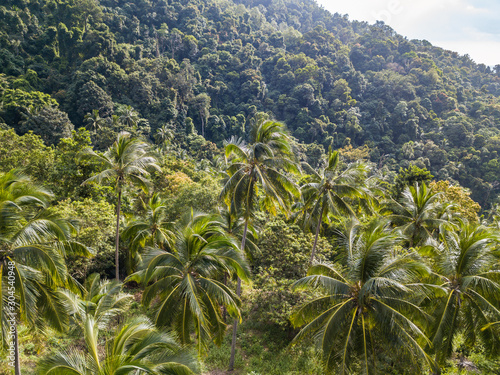 Aerial view of the Hilly Jungle of Ko Pangan.Thailand