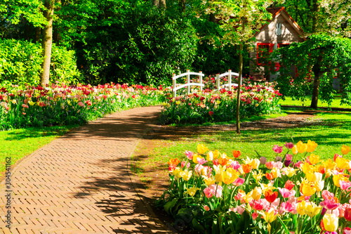 Fototapeta Naklejka Na Ścianę i Meble -  Stone walk way in garden