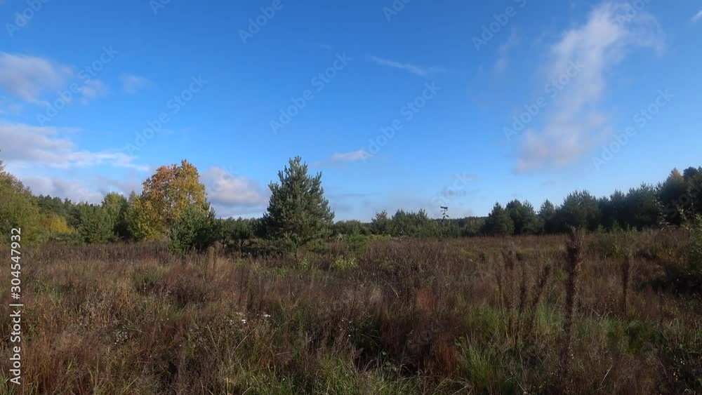 Field on the outskirts of the forest. Autumn is coming. Field on the outskirts of the forest. Autumn is coming.