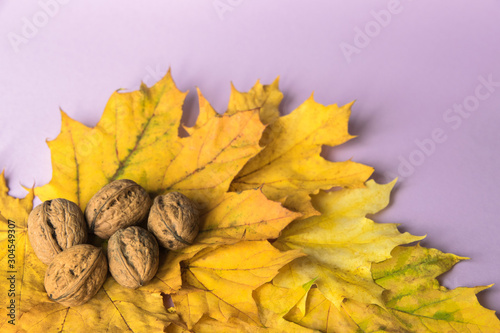 Yellow leaves with nuts on the lilac background.
