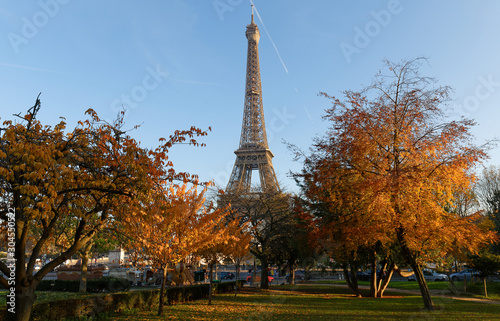Photography Beautiful view of autumn trees with the Eiffel tower in the foreground in Paris